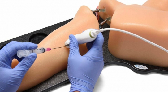 NEW \\ Arterial Line Vascular Access Ultrasound Trainer