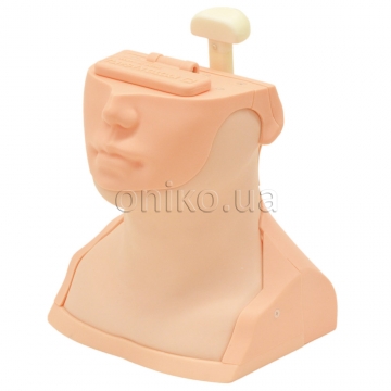 Thyroid Palpation Simulator