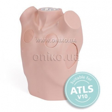 Chest Drain & Needle Decompression Trainer
