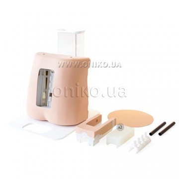Lumbar Puncture Model