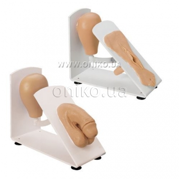 Male & Female Catheterization Trainers