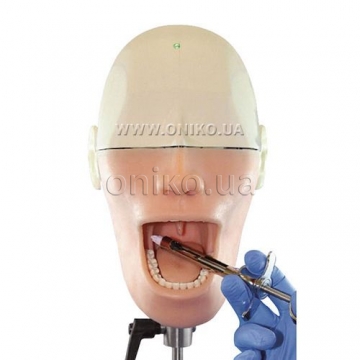 Simulátor pro orální anestezii