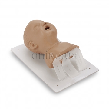 Infant Airway Management Trainer