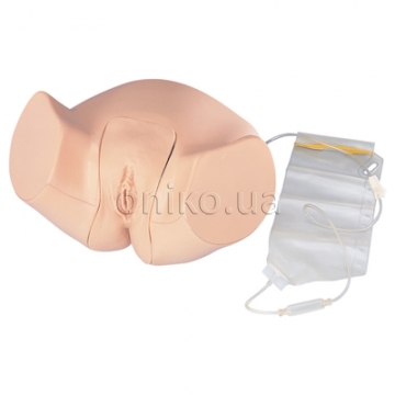 Female Catheterization and Enema Simulator