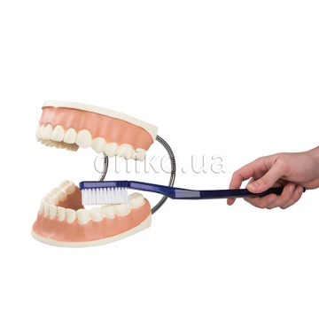 Model péče o zuby