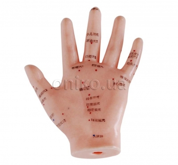 Model pro akupunkturu ruky, 13 cm