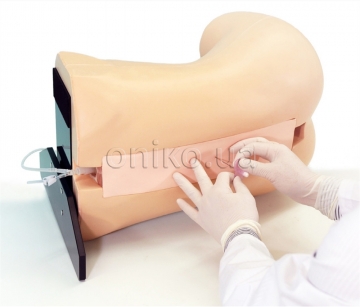 Epidural Anesthesia Simulator