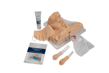 Cricothyrotomy simulator